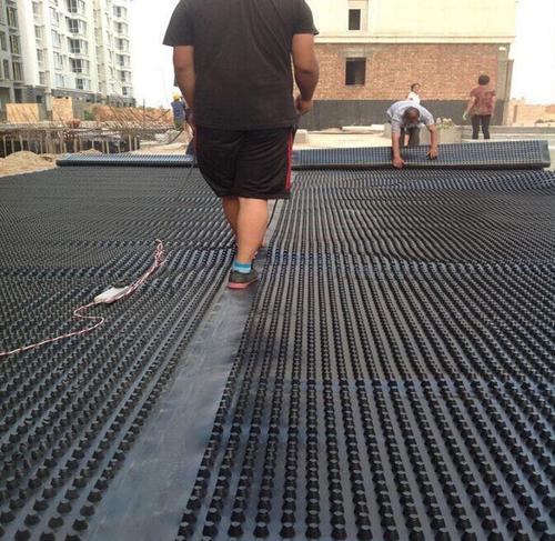 虹吸茄子视频更懂你